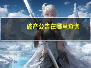 破产公告在哪里查询