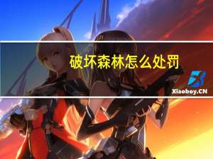 破坏森林怎么处罚