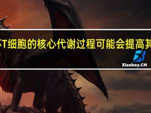 破坏T细胞的核心代谢过程可能会提高其治疗效果