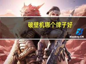 破壁机哪个牌子好（破身王妃）