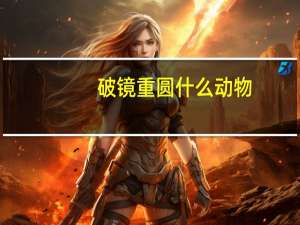 破镜重圆什么动物