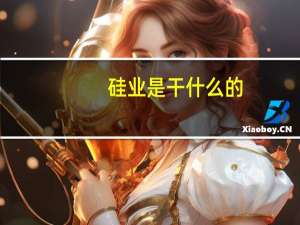 硅业是干什么的