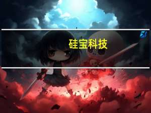 硅宝科技：目前已形成21万吨/年高端有机硅材料生产能力
