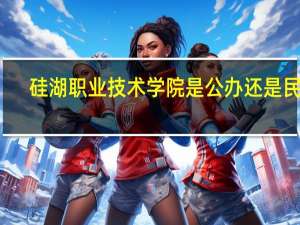 硅湖职业技术学院是公办还是民办