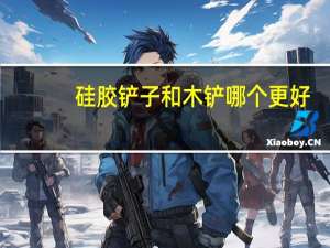 硅胶铲子和木铲哪个更好