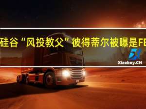 硅谷“风投教父”彼得蒂尔被曝是FBI线人