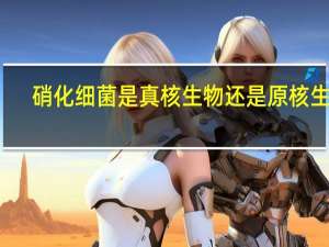 硝化细菌是真核生物还是原核生物