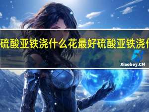 硫酸亚铁浇什么花最好 硫酸亚铁浇什么花