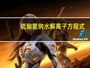 硫酸氢钠水解离子方程式