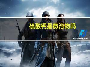 硫酸钙是微溶物吗