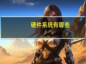 硬件系统有哪些（硬件系统）
