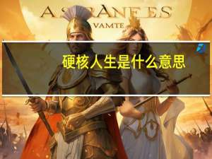 硬核人生是什么意思