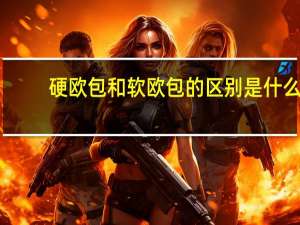 硬欧包和软欧包的区别是什么