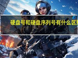 硬盘号和硬盘序列号有什么区别（硬盘号）