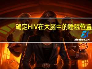 确定HIV在大脑中的睡眠位置