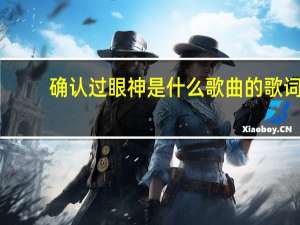 确认过眼神是什么歌曲的歌词（确认过眼神是什么意思）