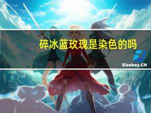 碎冰蓝玫瑰是染色的吗