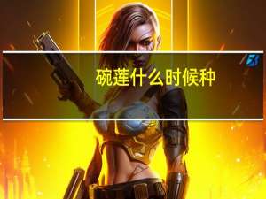 碗莲什么时候种：水温保持在16℃以上