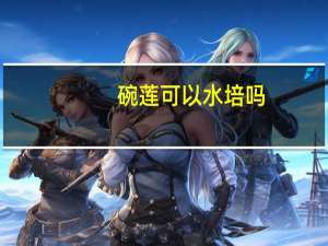 碗莲可以水培吗：可以