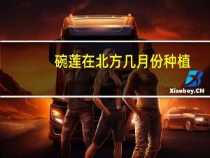 碗莲在北方几月份种植