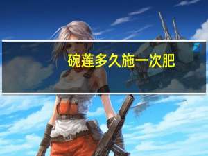 碗莲多久施一次肥