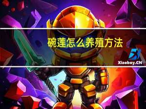 碗莲怎么养殖方法