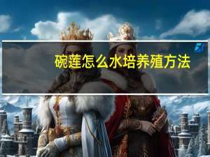 碗莲怎么水培养殖方法