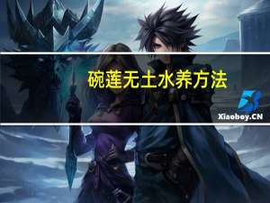 碗莲无土水养方法