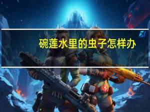 碗莲水里的虫子怎样办：一旦发现有虫子