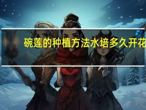 碗莲的种植方法水培多久开花（碗莲的种植方法水培）
