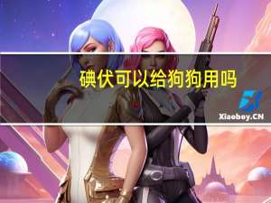 碘伏可以给狗狗用吗