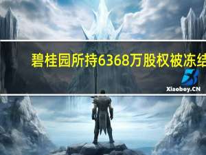 碧桂园所持6368万股权被冻结