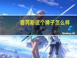 碧芮斯这个牌子怎么样