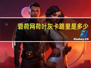 碧荷网 荷叶灰卡路里是多少