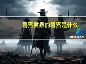 碧落黄泉的碧落是什么（碧落黄泉的碧落是什么意思）
