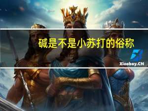 碱是不是小苏打的俗称