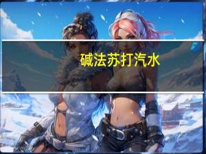 碱法 苏打汽水(荔枝味)的热量是多少