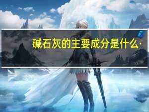 碱石灰的主要成分是什么·