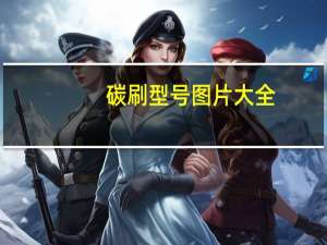碳刷型号图片大全（碳刷型号）