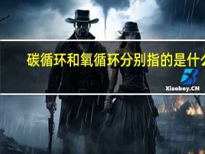 碳循环和氧循环分别指的是什么