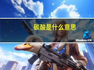 碳酸是什么意思