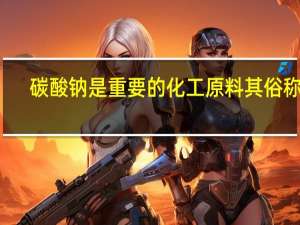 碳酸钠是重要的化工原料其俗称为
