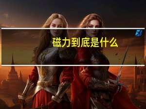 磁力到底是什么