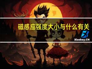 磁感应强度大小与什么有关