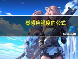 磁感应强度的公式
