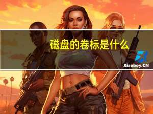 磁盘的卷标是什么（卷标是什么）