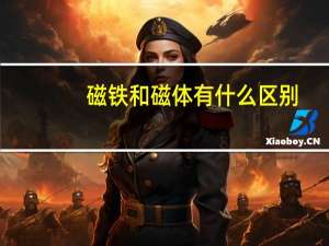 磁铁和磁体有什么区别