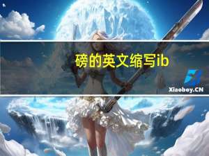 磅的英文缩写ib