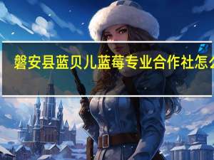 磐安县蓝贝儿蓝莓专业合作社怎么样
