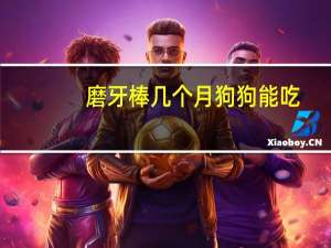 磨牙棒几个月狗狗能吃